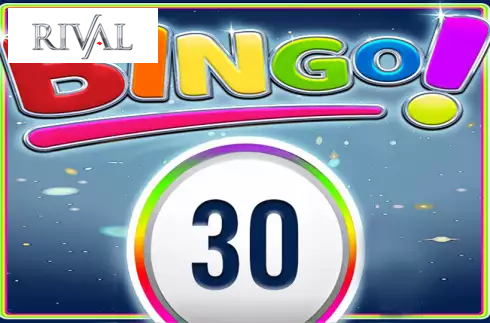 Bingo 30 Ball